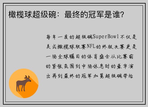 橄榄球超级碗：最终的冠军是谁？